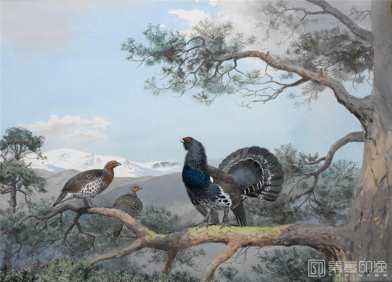 油画-约翰.赛里尔·哈里森 John Harrison作品集-050
